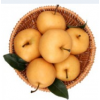 山东莱阳秋月梨水果 4-6个 2.25kg 非丰水梨