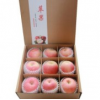 山东烟台红富士栖霞苹果水果礼盒装 6-9个包装 5斤