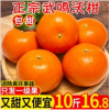广西武鸣沃柑10斤当季新鲜水果整箱橘子桔子砂糖橘金桔皇帝柑大果